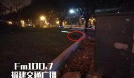 玉林二环爆料事件视频,真相与争议交织的街头风云